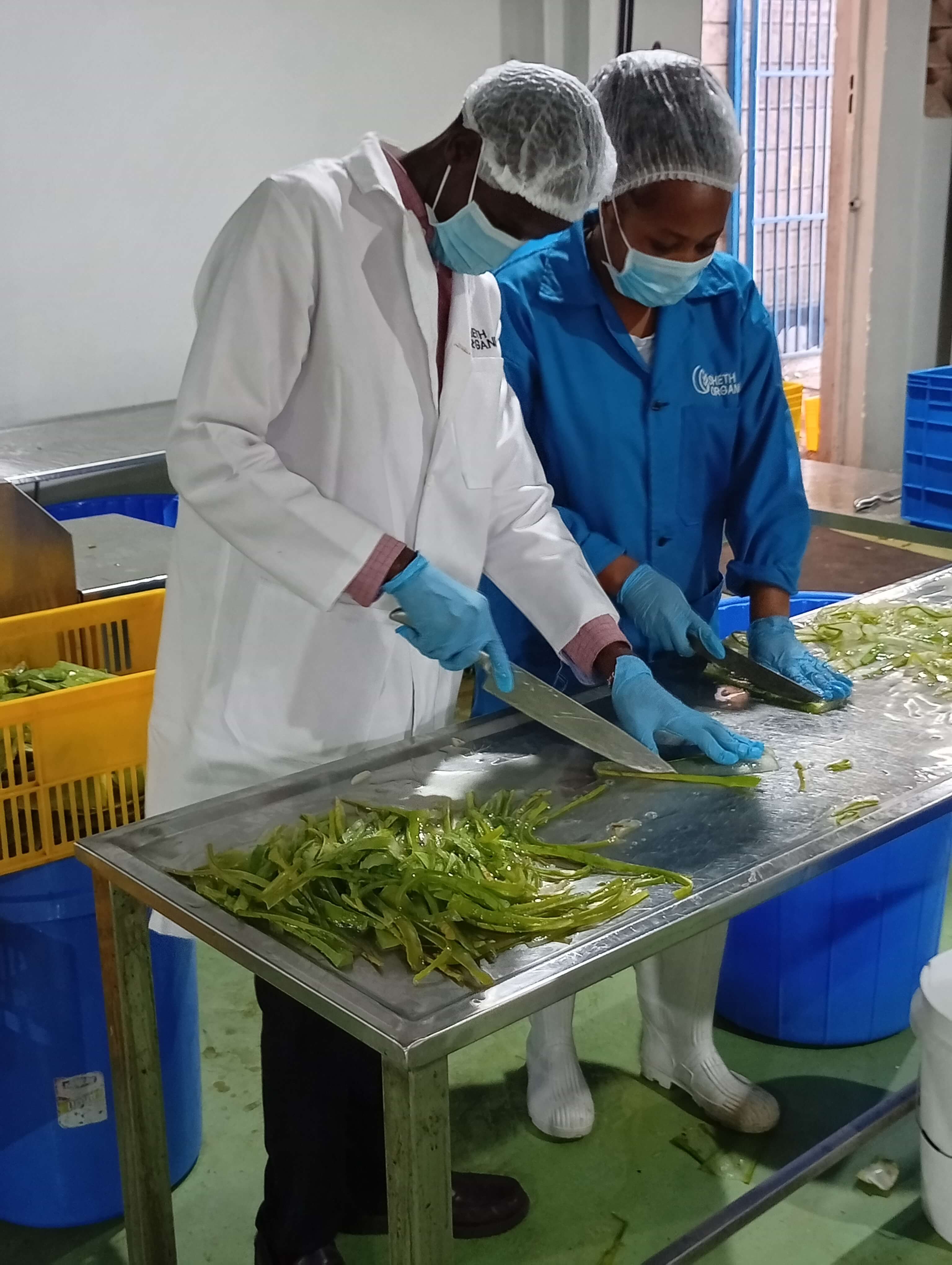 from farm to factory sheth organics